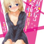 ノベル