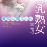 ノベル